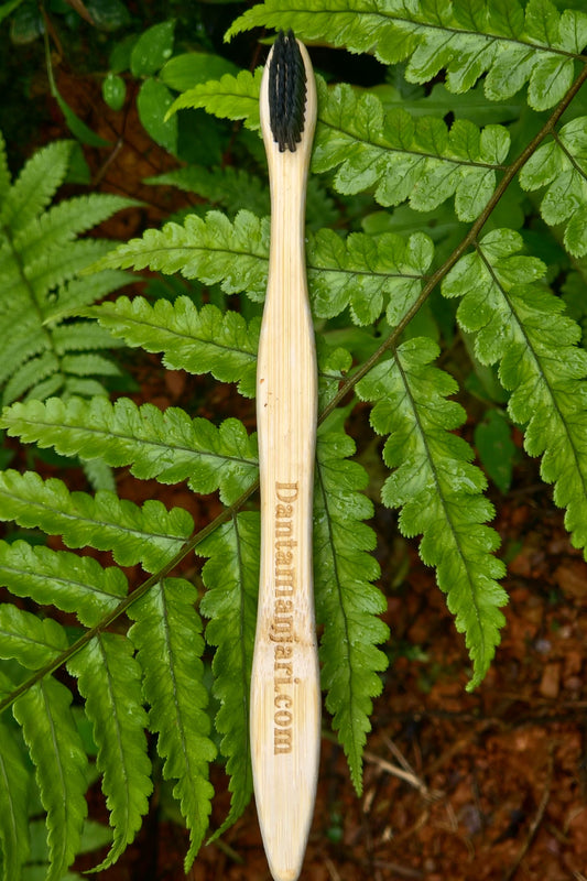 Bamboo Tooth Brush