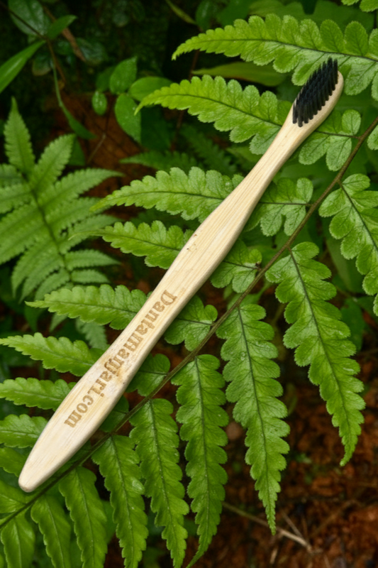 Bamboo Tooth Brush
